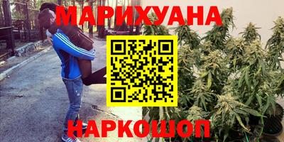 гашик Гай
