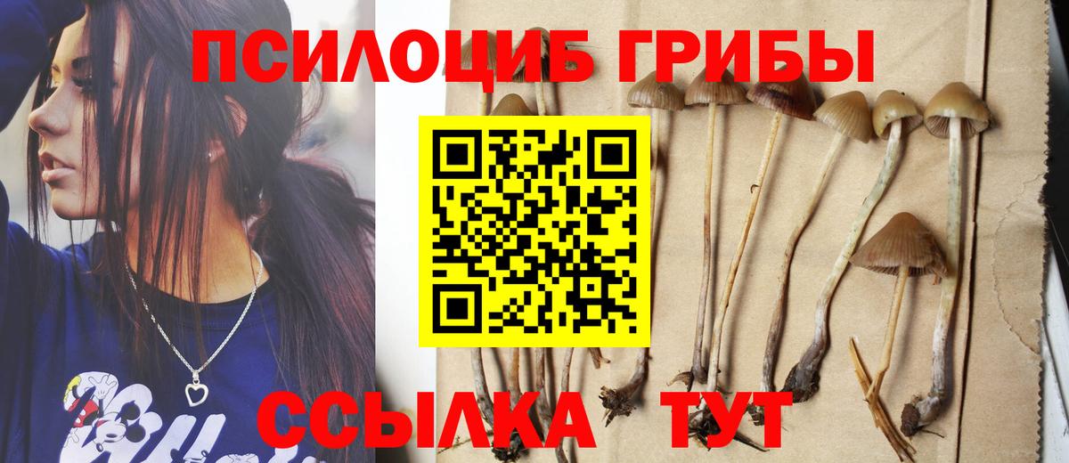 Галлюциногенные грибы Magic Shrooms Вязьма