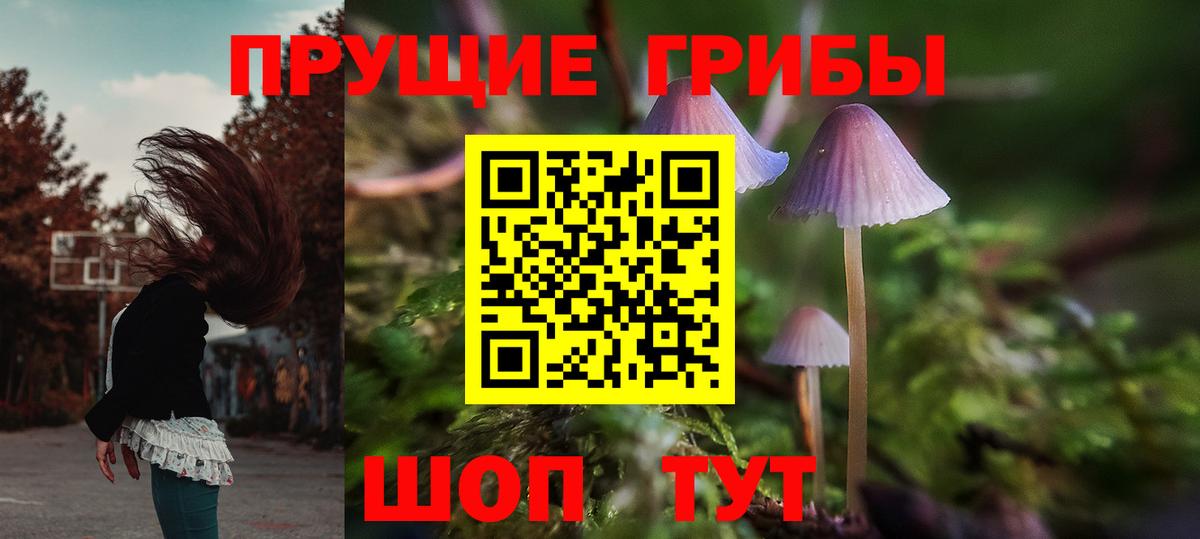 Вязьма  Галлюциногенные грибы Psilocybe  Вход с VPN 
